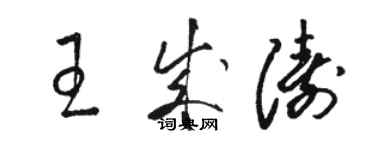 駱恆光王成濤草書個性簽名怎么寫