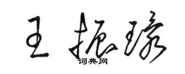 駱恆光王振環草書個性簽名怎么寫