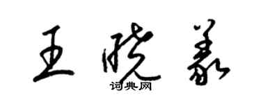 梁錦英王曉義草書個性簽名怎么寫