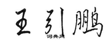 駱恆光王引鵬行書個性簽名怎么寫