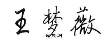 駱恆光王夢薇行書個性簽名怎么寫