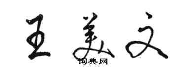 駱恆光王美文行書個性簽名怎么寫