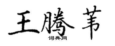 丁謙王騰葦楷書個性簽名怎么寫