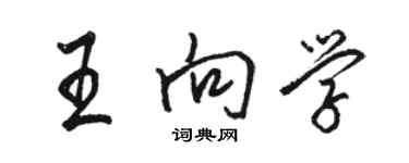 駱恆光王向學行書個性簽名怎么寫