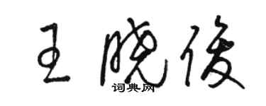 駱恆光王曉俊草書個性簽名怎么寫