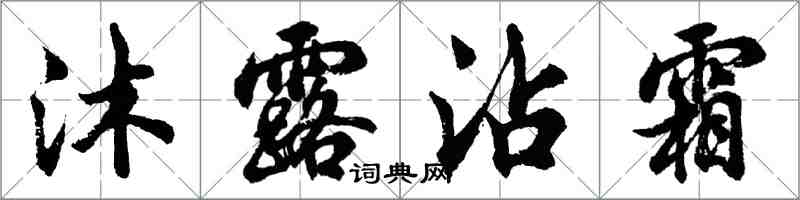 胡問遂沐露沾霜行書怎么寫