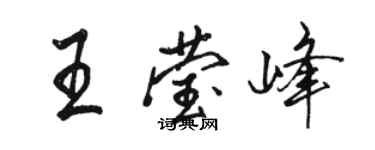 駱恆光王瑩峰行書個性簽名怎么寫