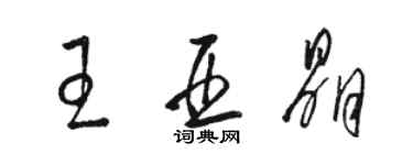 駱恆光王亞晶草書個性簽名怎么寫