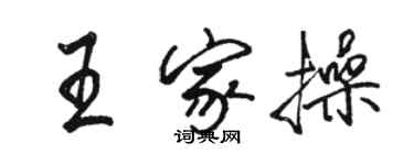 駱恆光王家操行書個性簽名怎么寫