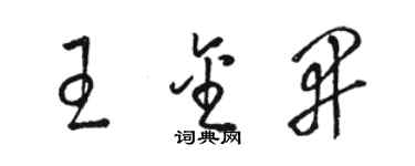 駱恆光王金開草書個性簽名怎么寫