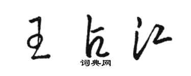 駱恆光王占江草書個性簽名怎么寫