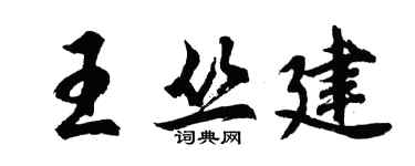 胡問遂王叢建行書個性簽名怎么寫