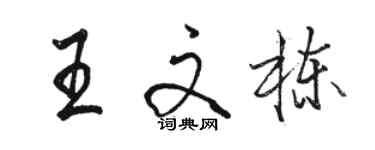 駱恆光王文棟行書個性簽名怎么寫