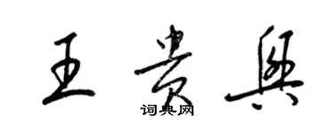 梁錦英王貴興草書個性簽名怎么寫