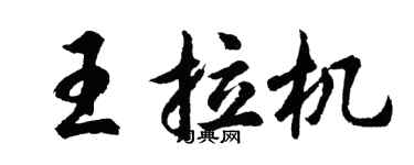 胡問遂王拉機行書個性簽名怎么寫