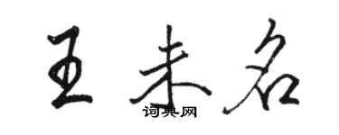 駱恆光王未名行書個性簽名怎么寫