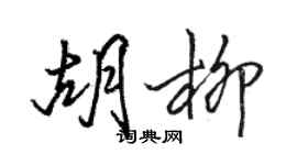 駱恆光胡柳行書個性簽名怎么寫