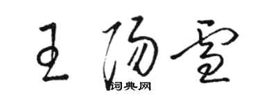 駱恆光王陽雪草書個性簽名怎么寫