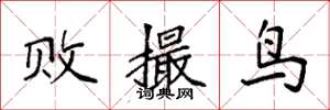袁強敗撮鳥楷書怎么寫