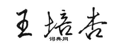 駱恆光王培杏行書個性簽名怎么寫