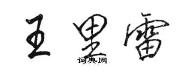 駱恆光王里雷行書個性簽名怎么寫