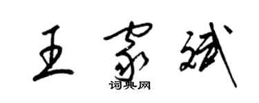 梁錦英王家斌草書個性簽名怎么寫