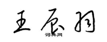 梁錦英王辰羽草書個性簽名怎么寫