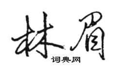 駱恆光林眉行書個性簽名怎么寫