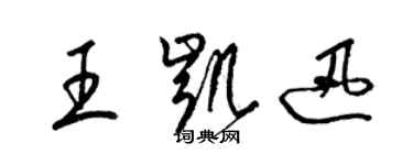 梁錦英王凱迅草書個性簽名怎么寫