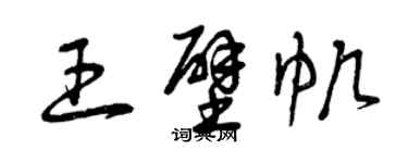 曾慶福王壁帆草書個性簽名怎么寫