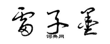 曾慶福雷子墨草書個性簽名怎么寫