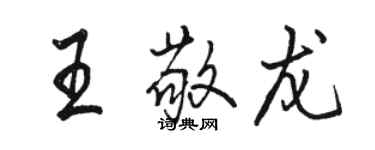 駱恆光王敬龍行書個性簽名怎么寫