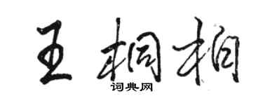 駱恆光王桐柏行書個性簽名怎么寫
