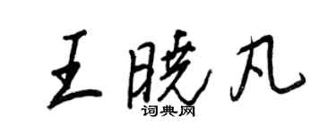 王正良王曉凡行書個性簽名怎么寫