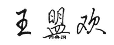 駱恆光王盟歡行書個性簽名怎么寫