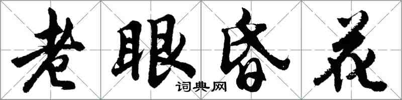 胡問遂老眼昏花行書怎么寫