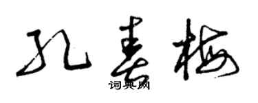 曾慶福孔春梅草書個性簽名怎么寫