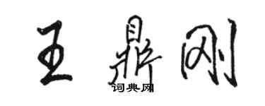 駱恆光王鼎剛行書個性簽名怎么寫