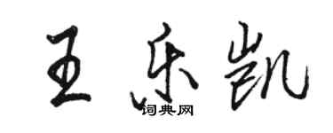 駱恆光王樂凱行書個性簽名怎么寫