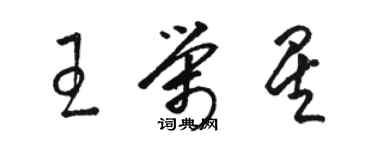 駱恆光王榮星草書個性簽名怎么寫