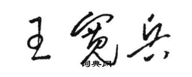 駱恆光王寬兵草書個性簽名怎么寫