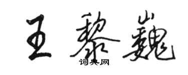 駱恆光王黎巍行書個性簽名怎么寫