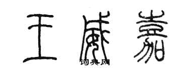 陳墨王威嘉篆書個性簽名怎么寫