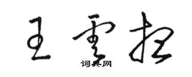 駱恆光王雲想草書個性簽名怎么寫