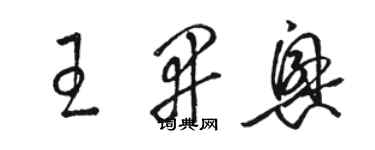 駱恆光王開興草書個性簽名怎么寫