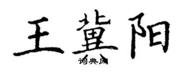 丁謙王冀陽楷書個性簽名怎么寫