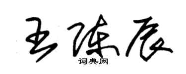 朱錫榮王陳辰草書個性簽名怎么寫