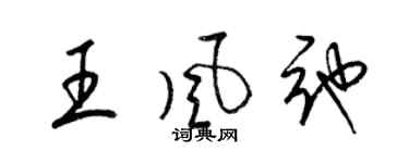 梁錦英王風弛草書個性簽名怎么寫