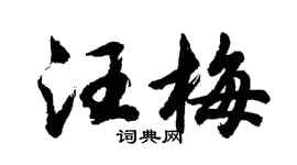 胡問遂汪梅行書個性簽名怎么寫