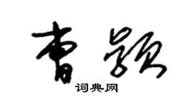 朱錫榮曹穎草書個性簽名怎么寫